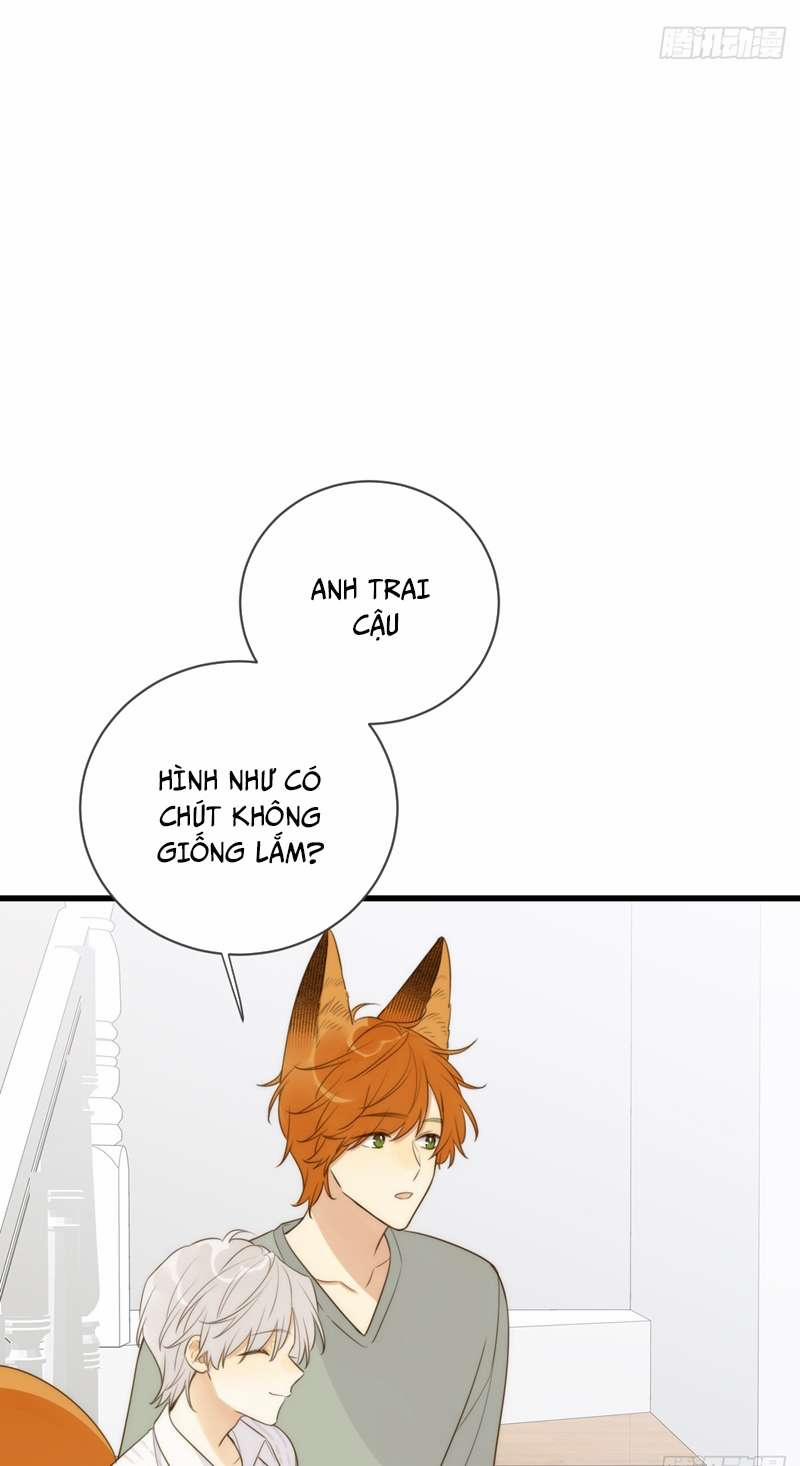 Chỉ Có Đuôi Là Không Thể 41 trang 14