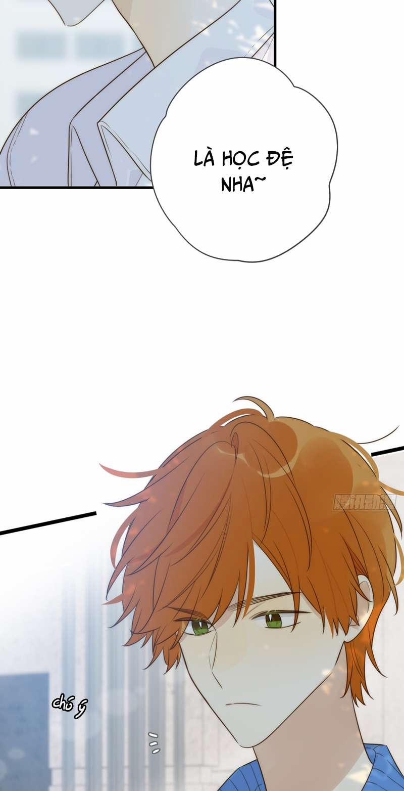 Chỉ Có Đuôi Là Không Thể 41 trang 35