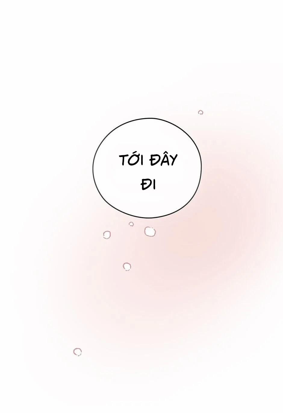 Chỉ Là Giấc Mơ Thôi Phải Không? 16 trang 29