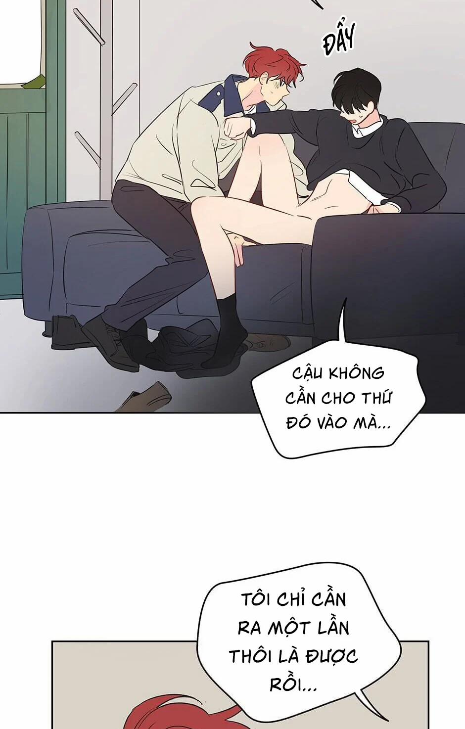 Chỉ Là Giấc Mơ Thôi Phải Không? 16 trang 37