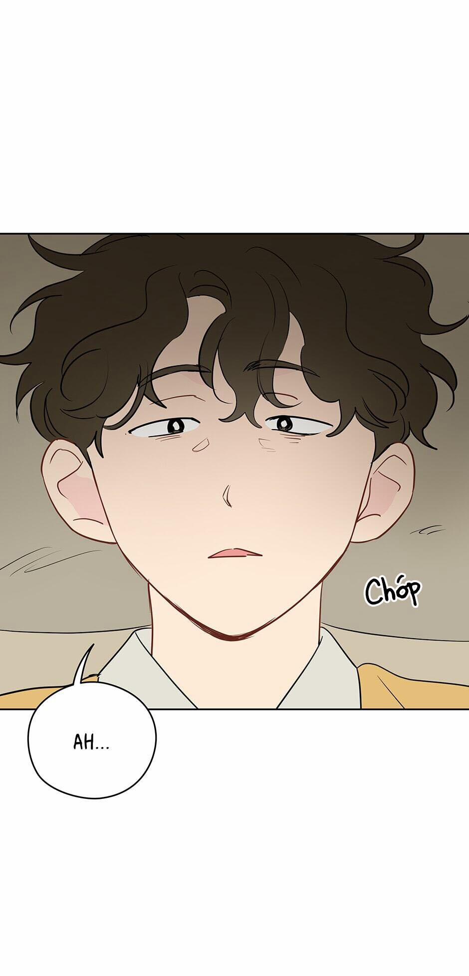 Chỉ Là Giấc Mơ Thôi Phải Không? 19 trang 4