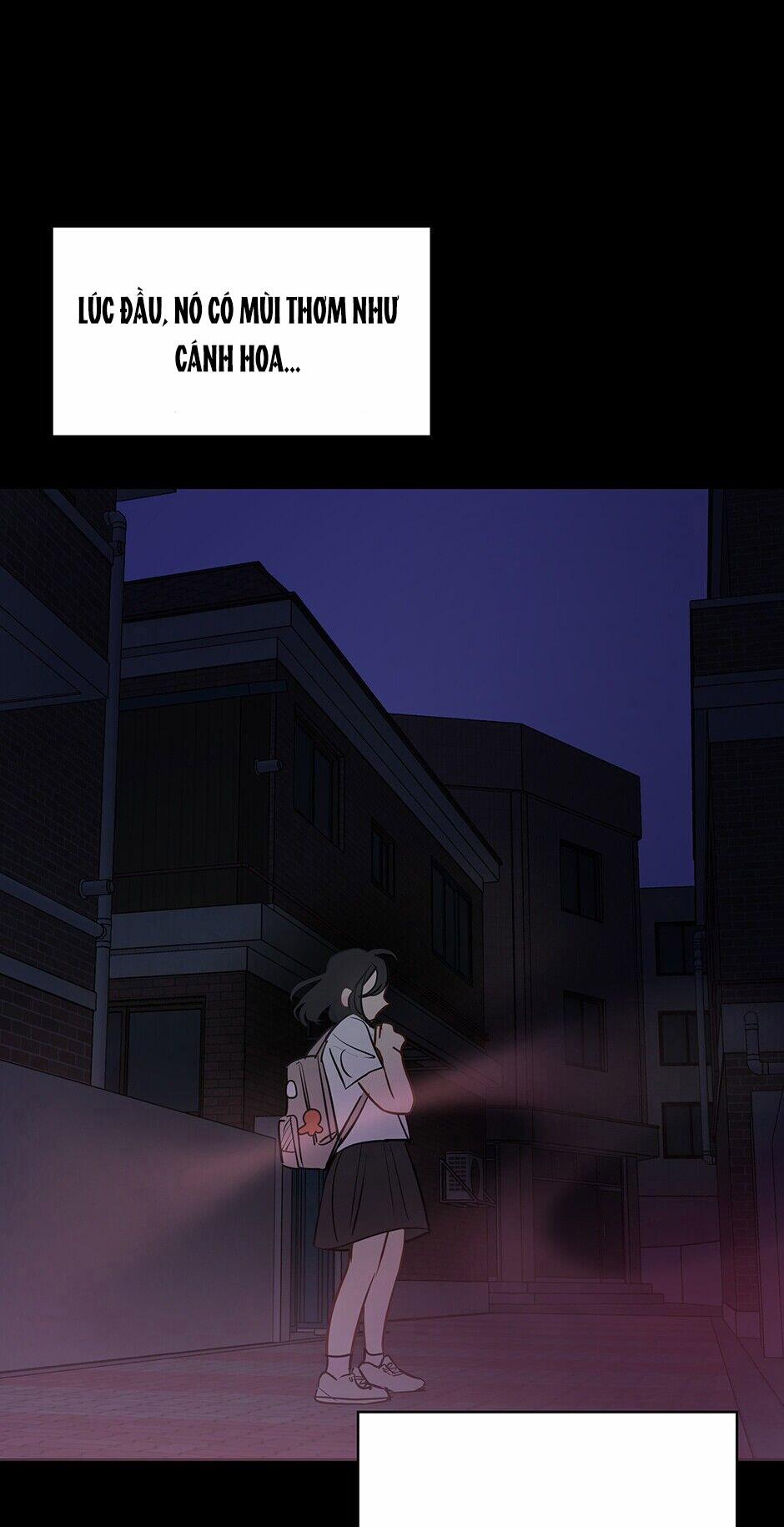 Chỉ Là Giấc Mơ Thôi Phải Không? 23 trang 5