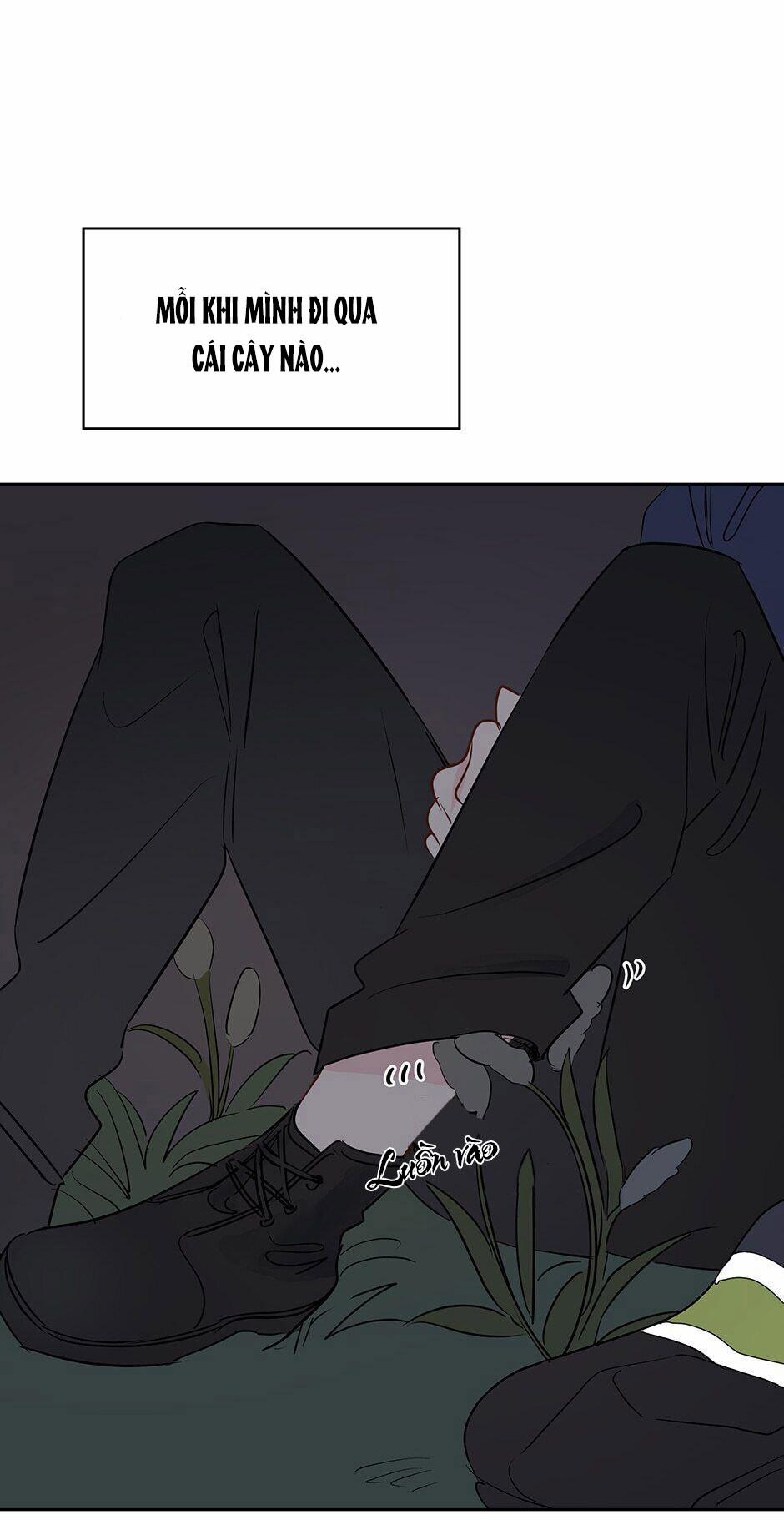 Chỉ Là Giấc Mơ Thôi Phải Không? 23 trang 54