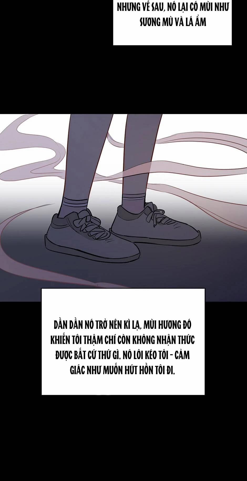 Chỉ Là Giấc Mơ Thôi Phải Không? 23 trang 6