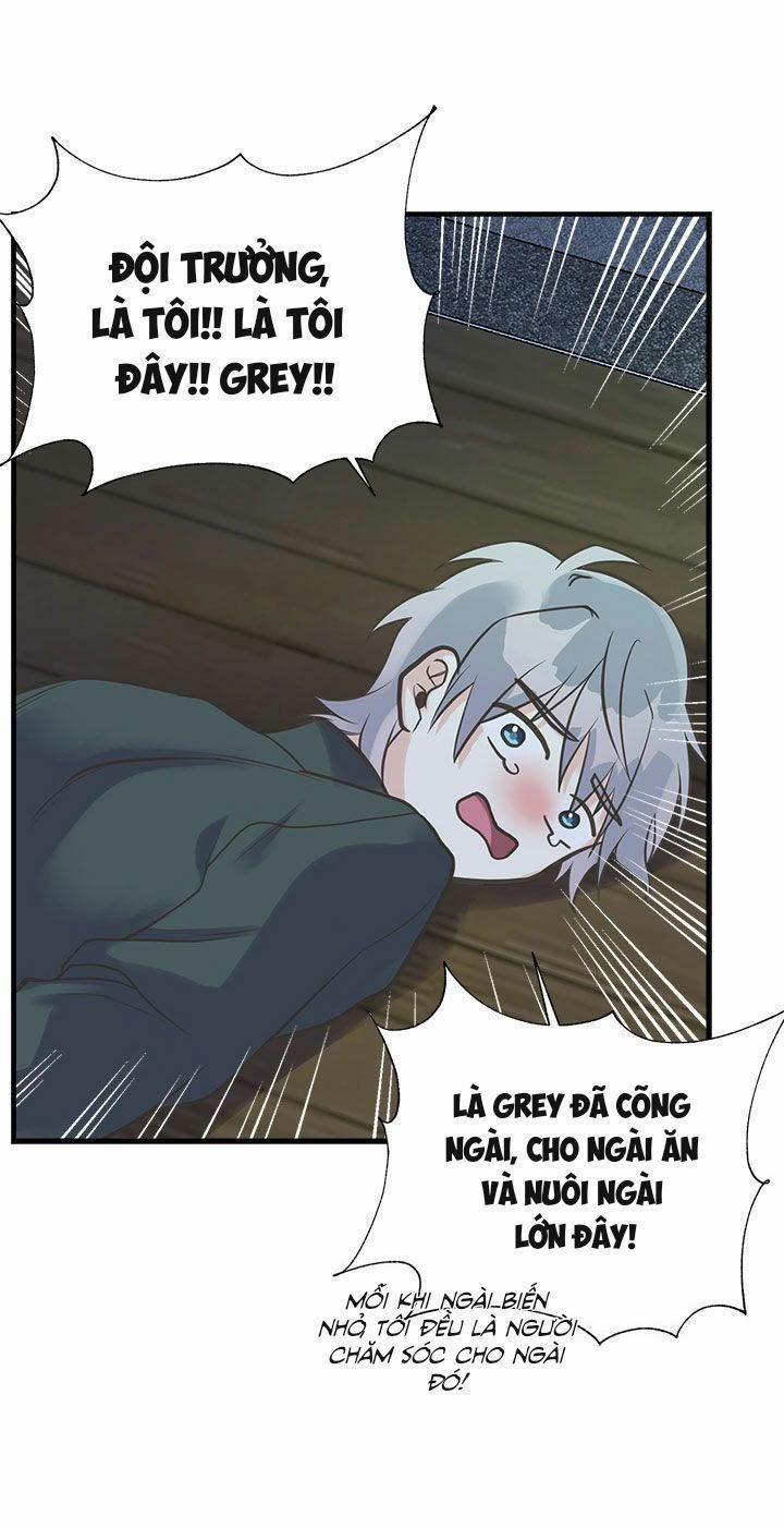 Chị Tôi Đã Nhặt Về Một Nam Chính Quyến Rũ 20 trang 11