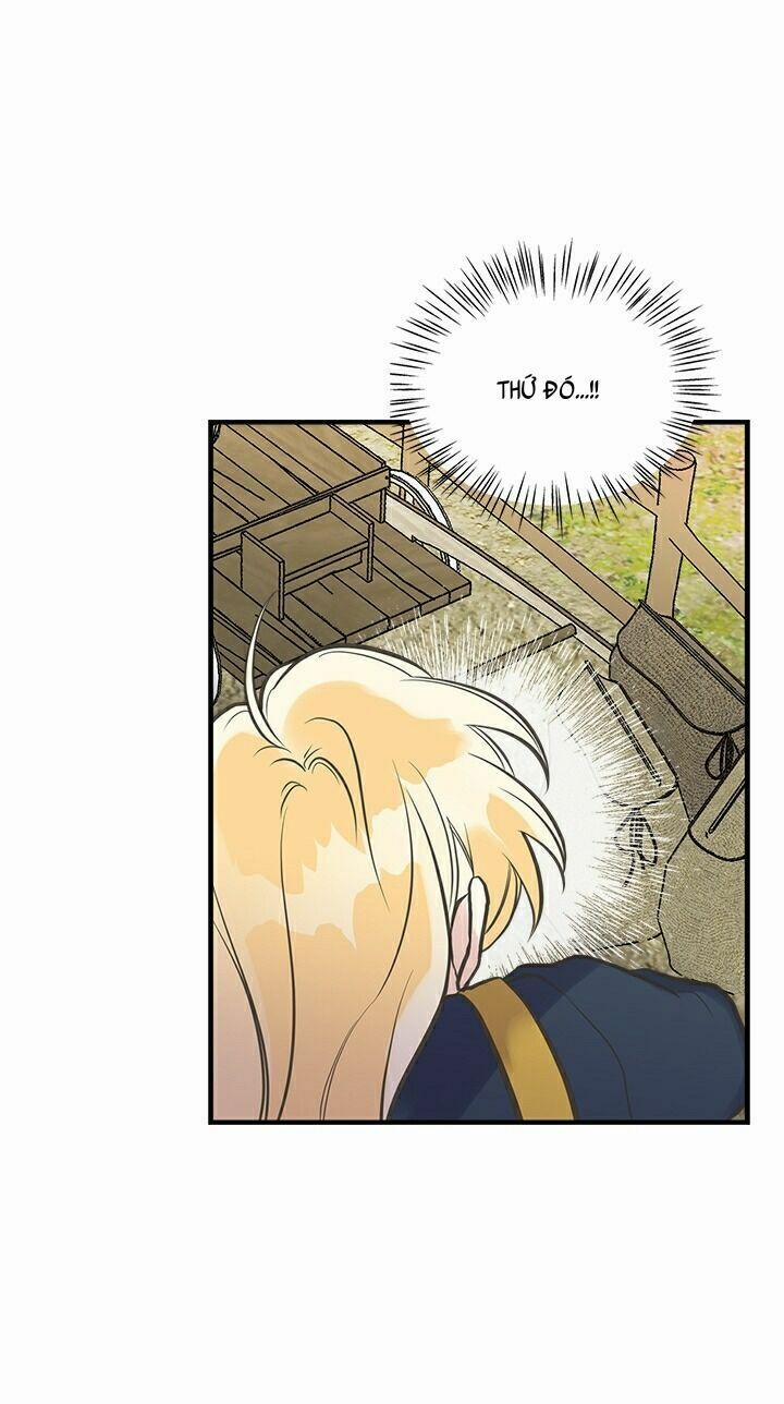 Chị Tôi Đã Nhặt Về Nhà Một Nam Chính Quyến Rũ 22 trang 61