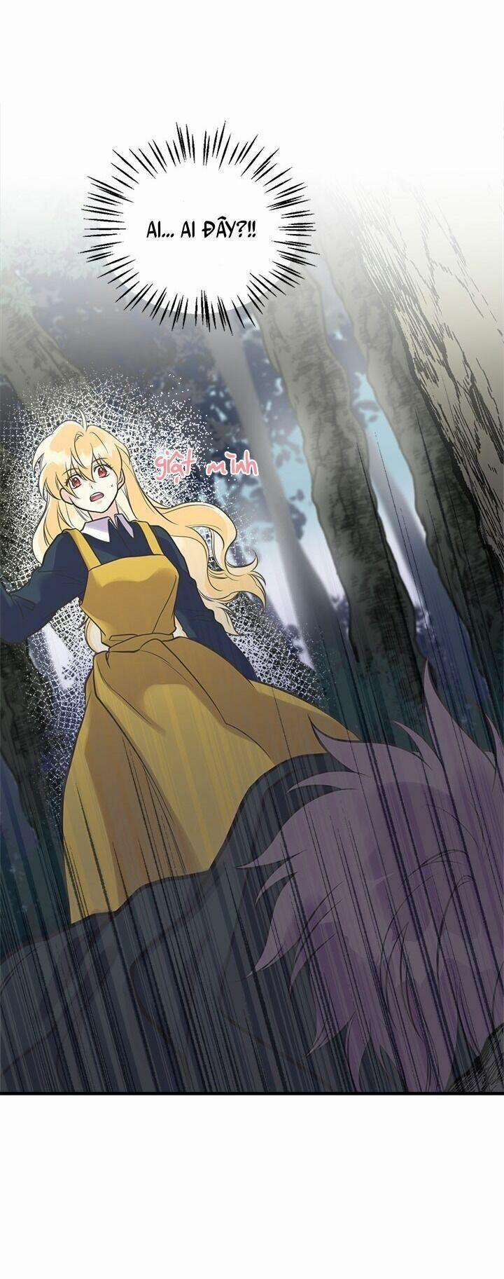 Chị Tôi Đã Nhặt Về Nhà Một Nam Chính Quyến Rũ 24 trang 13