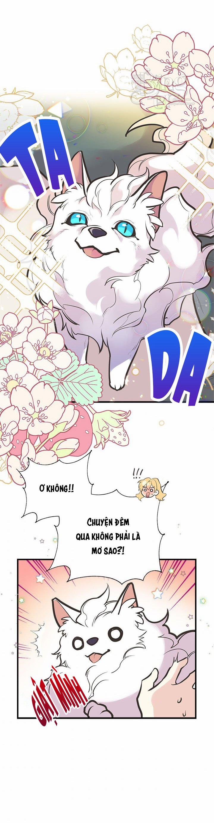 Chị Tôi Đã Nhặt Về Nhà Một Nam Chính Quyến Rũ 51.2 trang 25