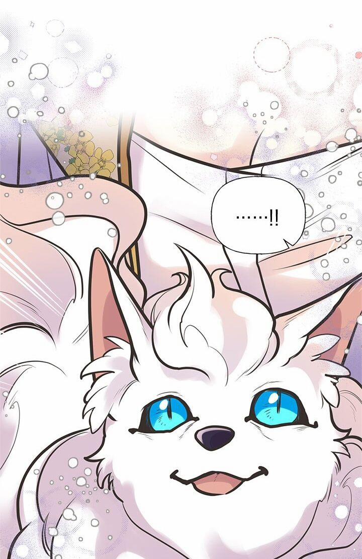 Chị Tôi Đã Nhặt Về Nhà Một Nam Chính Quyến Rũ 52 trang 21