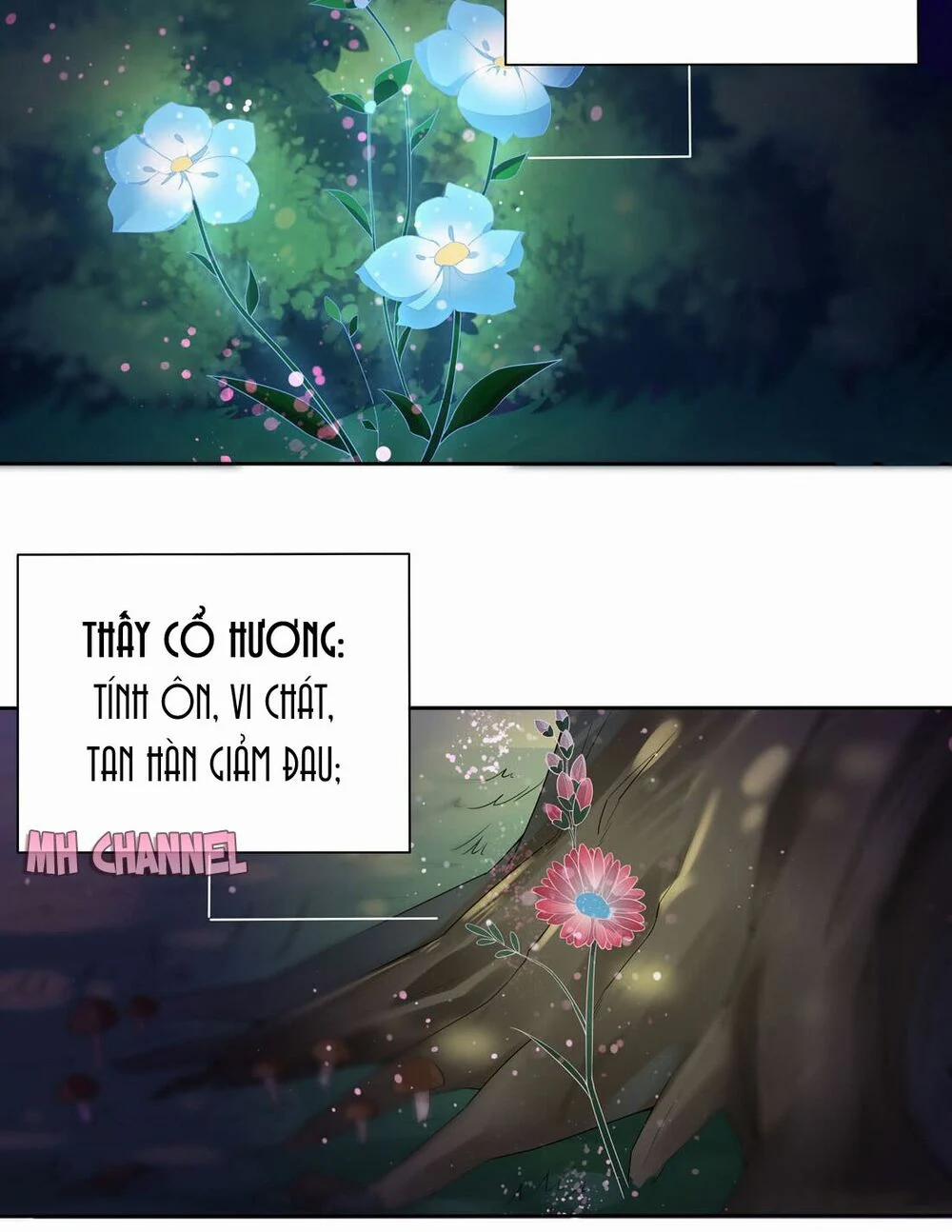 Chi Tôn Đồng Thuật Sư: Tuyệt Thế Đại Tiểu Thư 16 trang 5