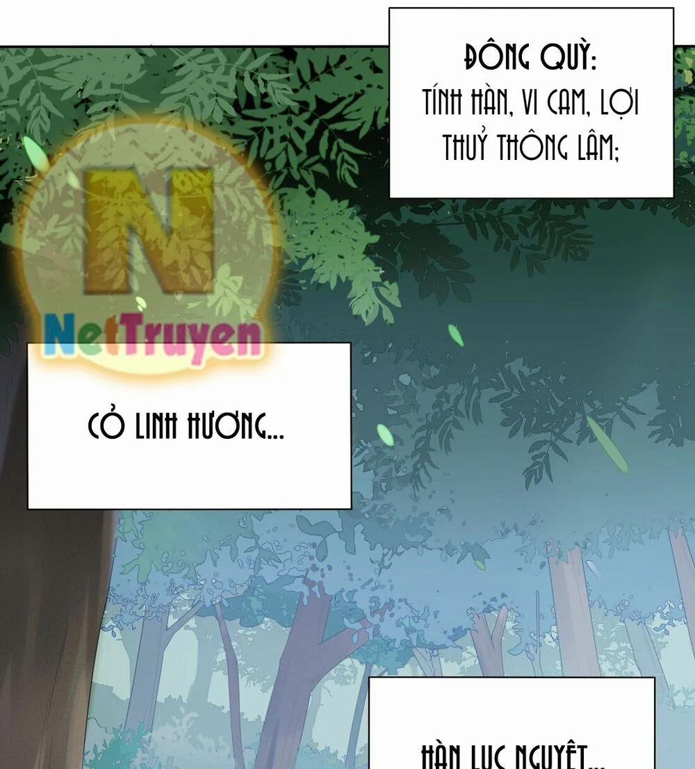 Chi Tôn Đồng Thuật Sư: Tuyệt Thế Đại Tiểu Thư 16 trang 6