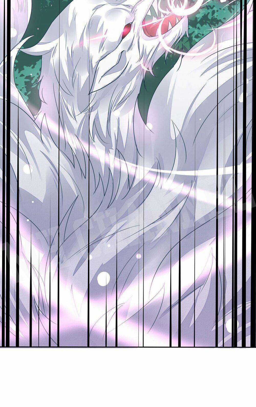 Chi Tôn Đồng Thuật Sư: Tuyệt Thế Đại Tiểu Thư 21 trang 25