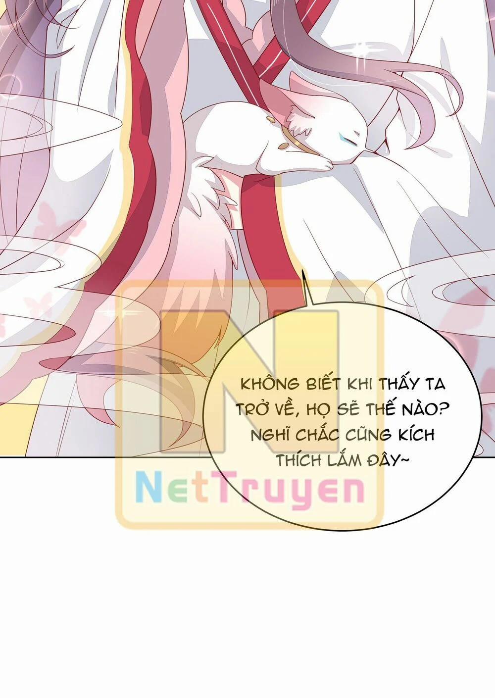 Chi Tôn Đồng Thuật Sư: Tuyệt Thế Đại Tiểu Thư 29 trang 8