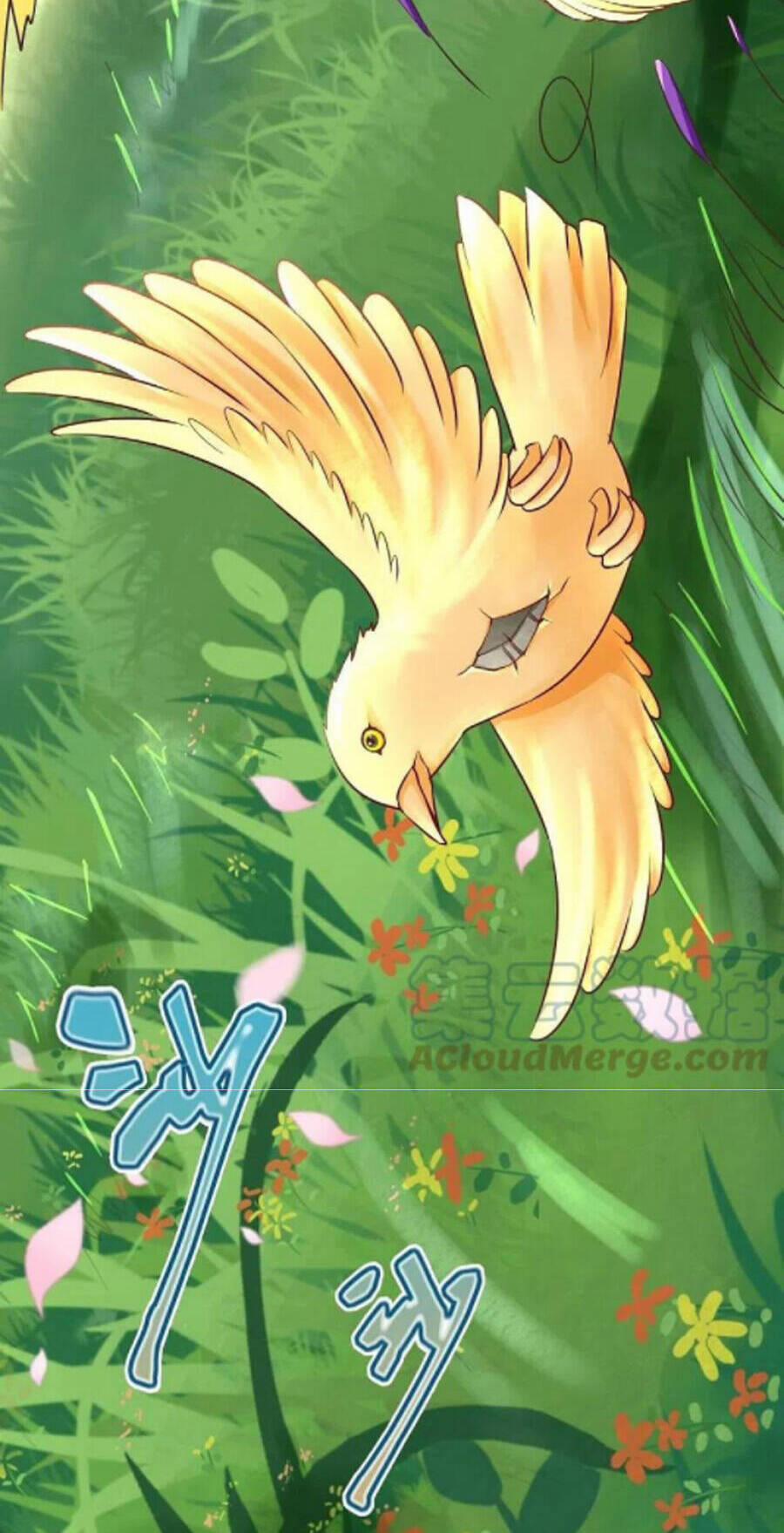 Chí Tôn Trời Hoang 64 trang 12