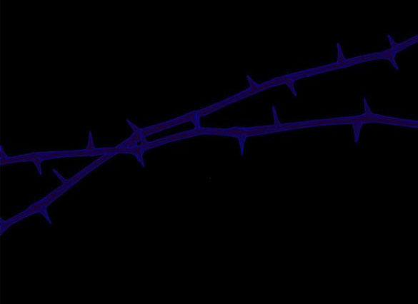 Chị Yêu, Kiếp Này Em Sẽ Là Hoàng Hậu 60.1 trang 37