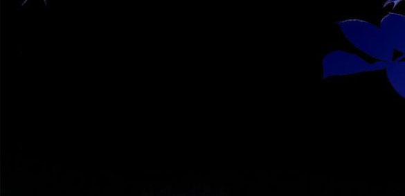 Chị Yêu, Kiếp Này Em Sẽ Là Hoàng Hậu 60.1 trang 54