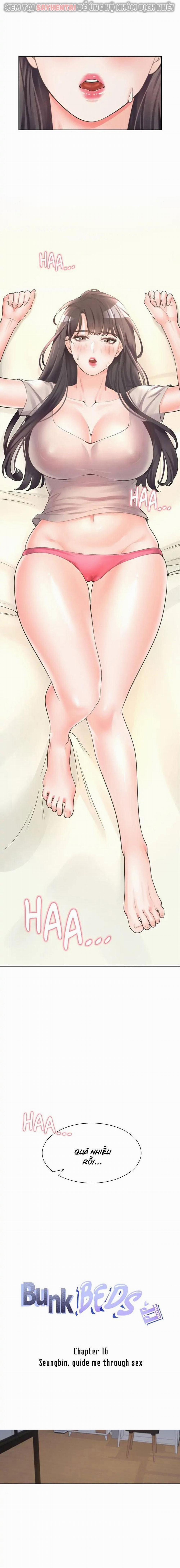 Chiếc Giường Tầng 16 trang 1