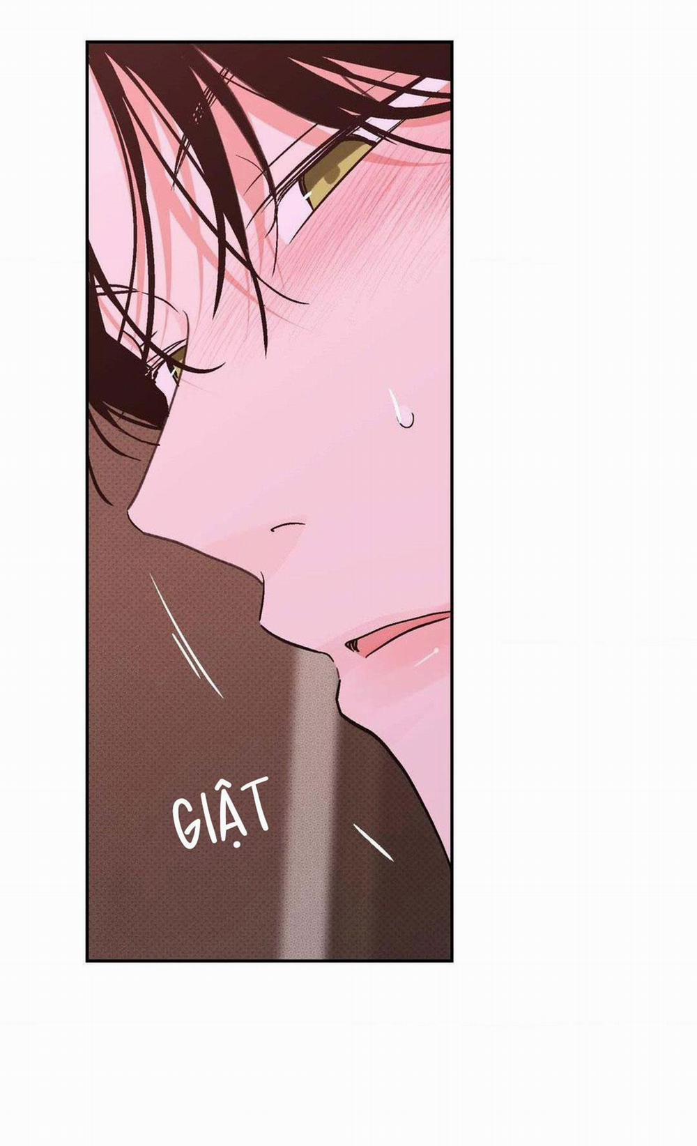 Chiếc Lá Lay Động Theo Giai Điệu 10 trang 12