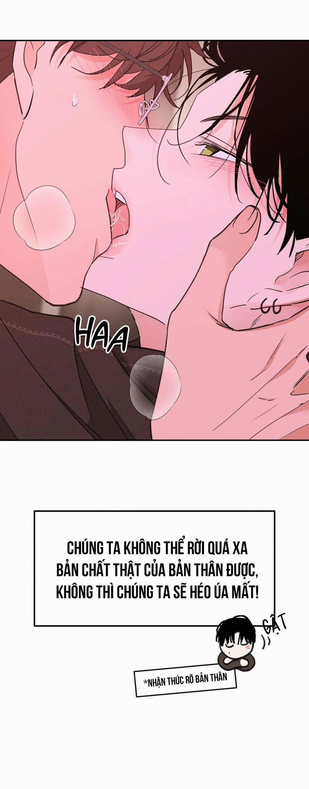 Chiếc Lá Lay Động Theo Giai Điệu 10 trang 3