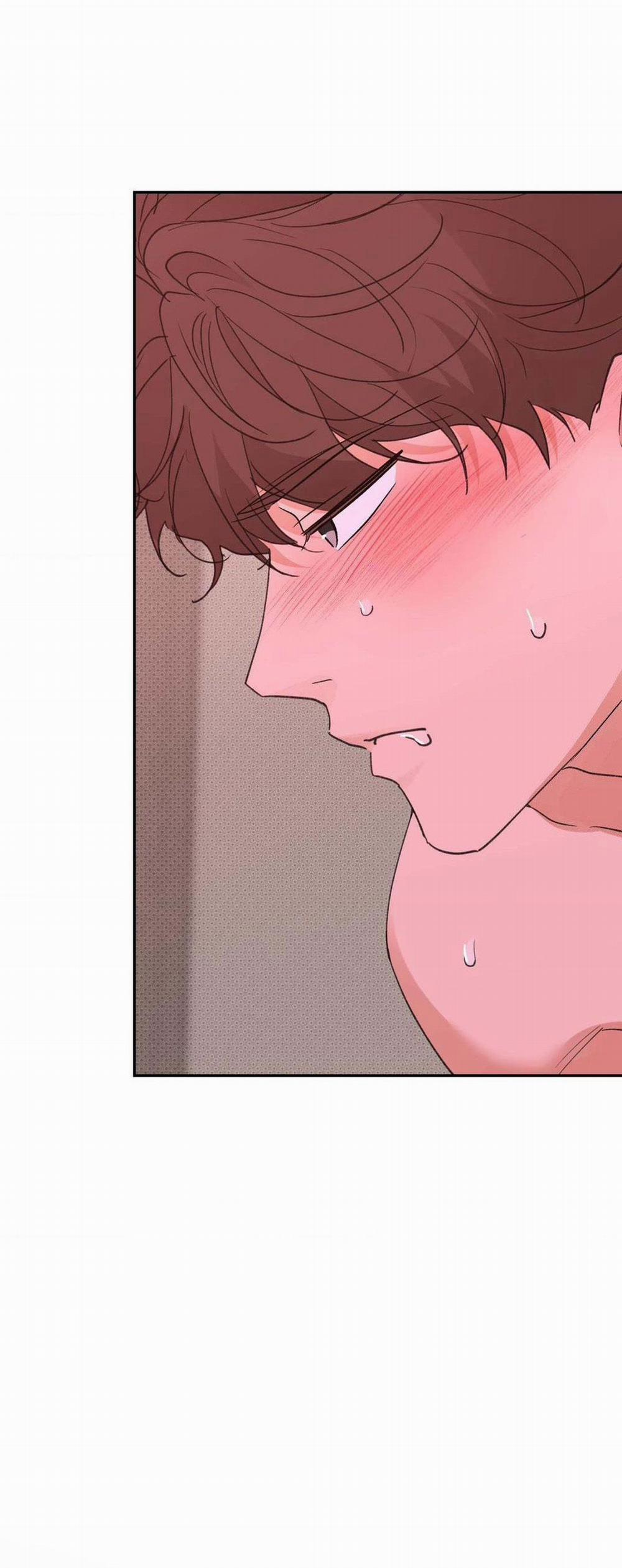 Chiếc Lá Lay Động Theo Giai Điệu 10 trang 46