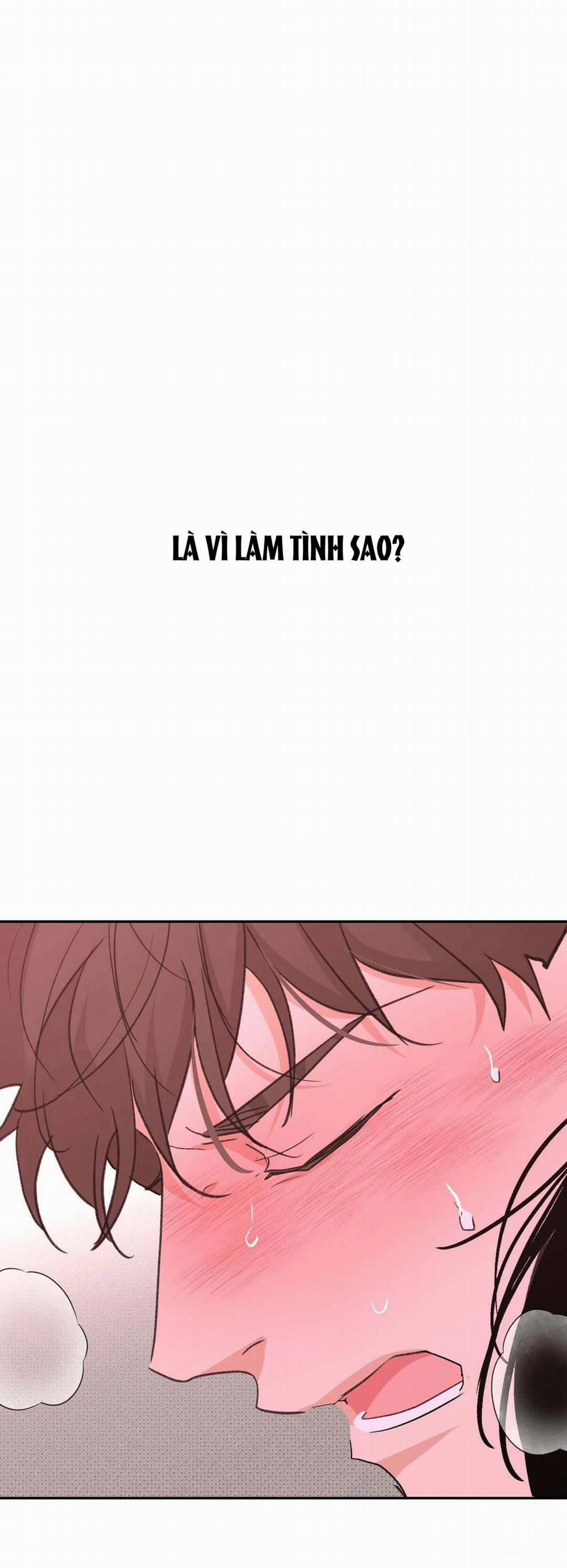 Chiếc Lá Lay Động Theo Giai Điệu 11 trang 14