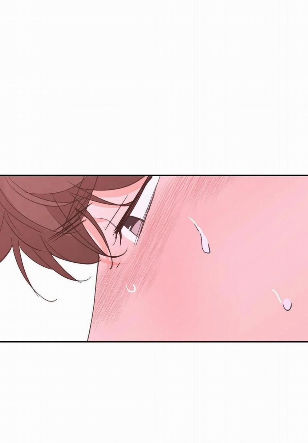 Chiếc Lá Lay Động Theo Giai Điệu 11 trang 20