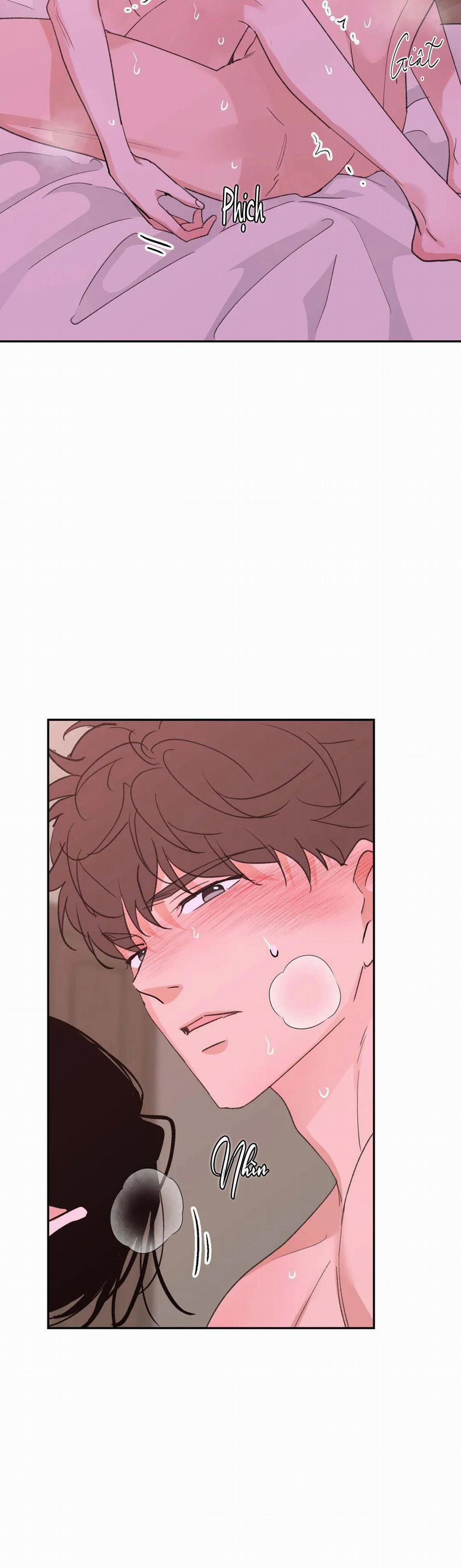 Chiếc Lá Lay Động Theo Giai Điệu 11 trang 28