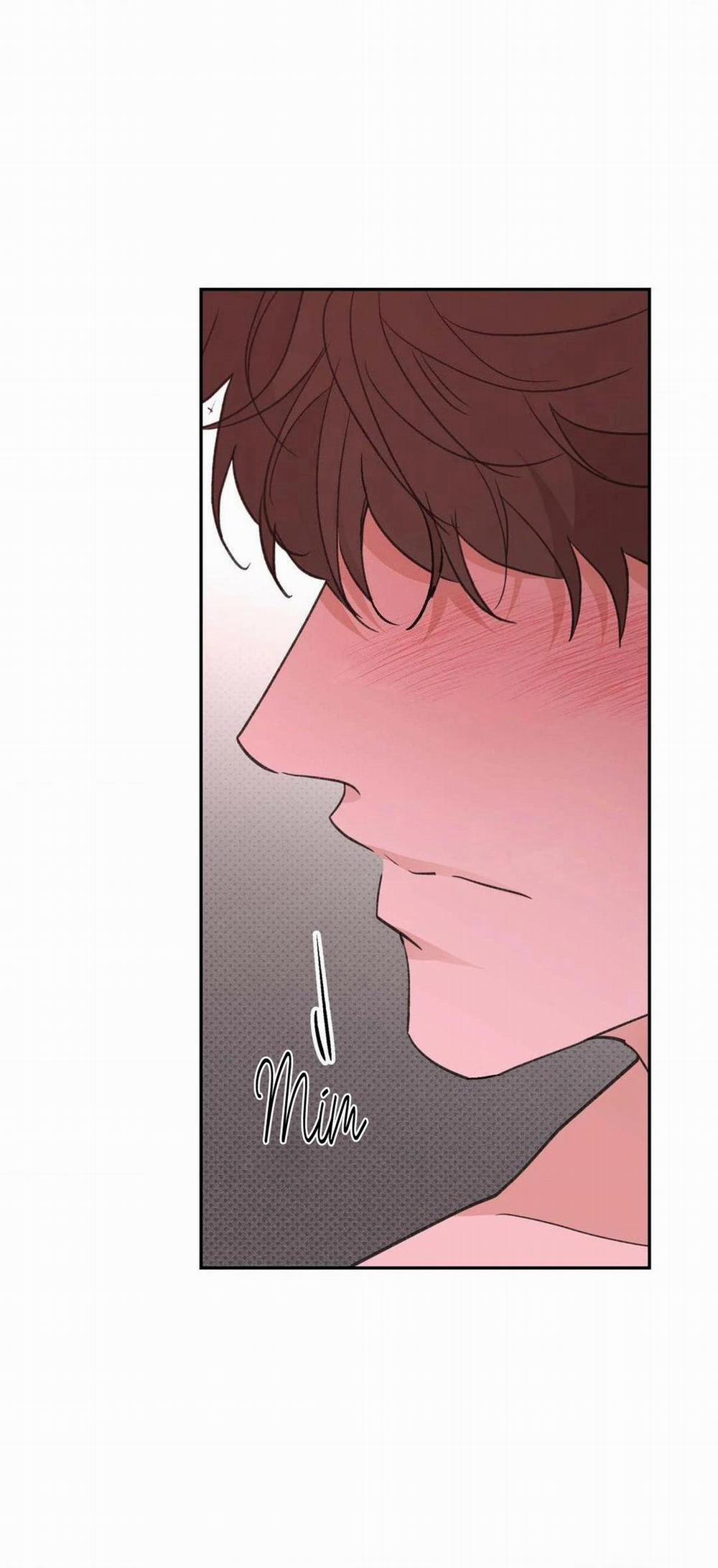 Chiếc Lá Lay Động Theo Giai Điệu 11 trang 7