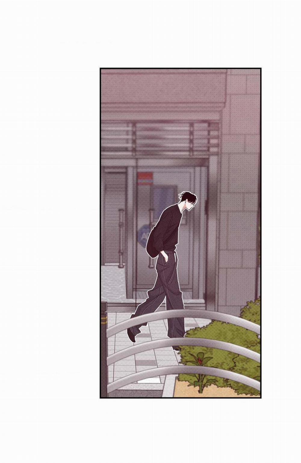 Chiếc Lá Lay Động Theo Giai Điệu 12 trang 6