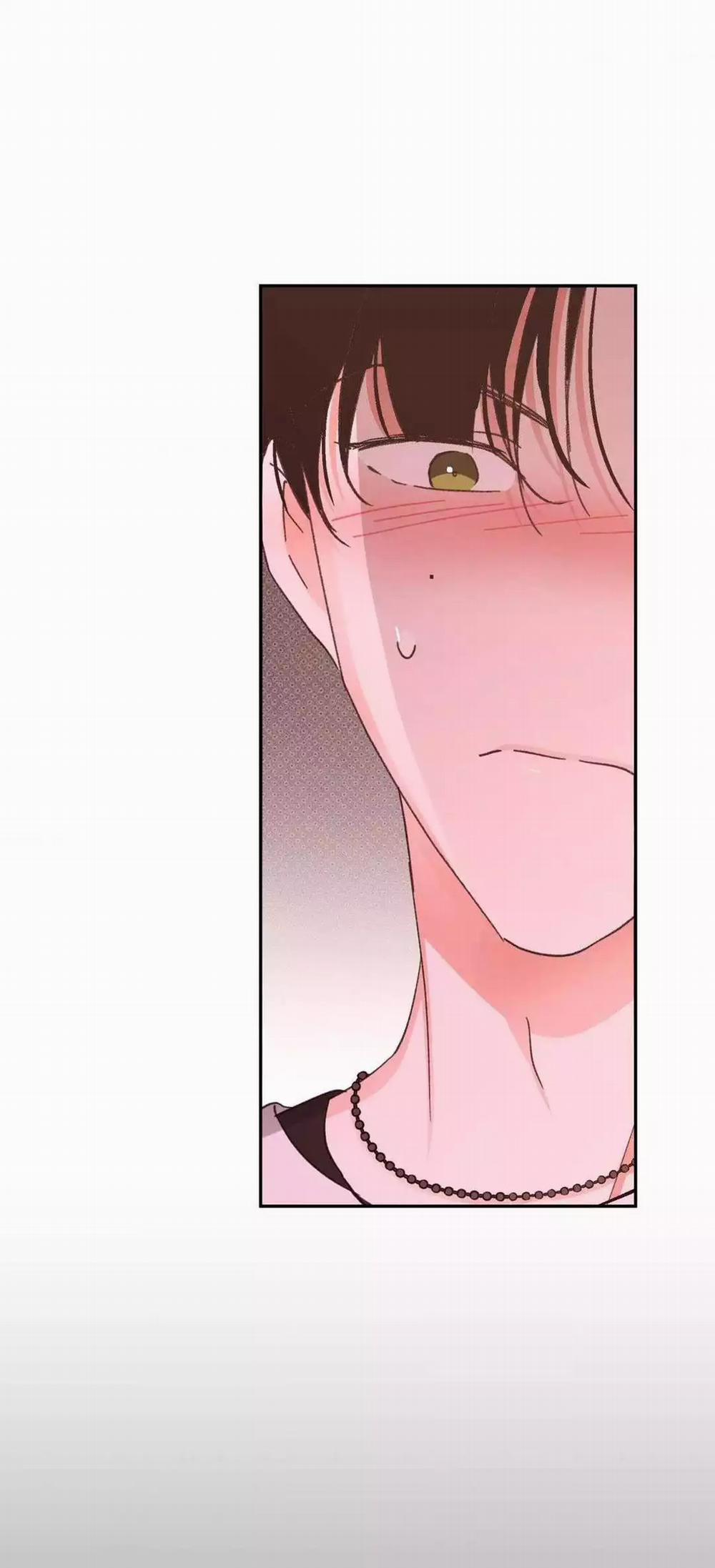 Chiếc Lá Lay Động Theo Giai Điệu 14 trang 81