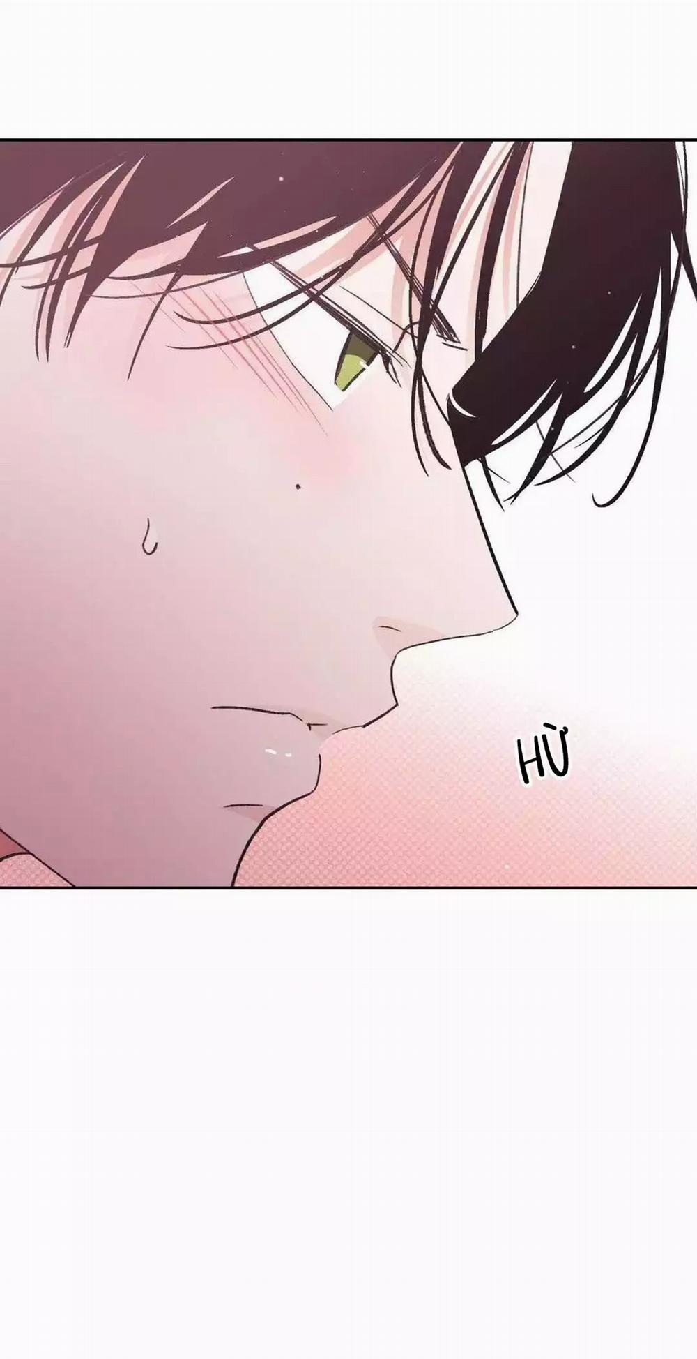 Chiếc Lá Lay Động Theo Giai Điệu 15 trang 17