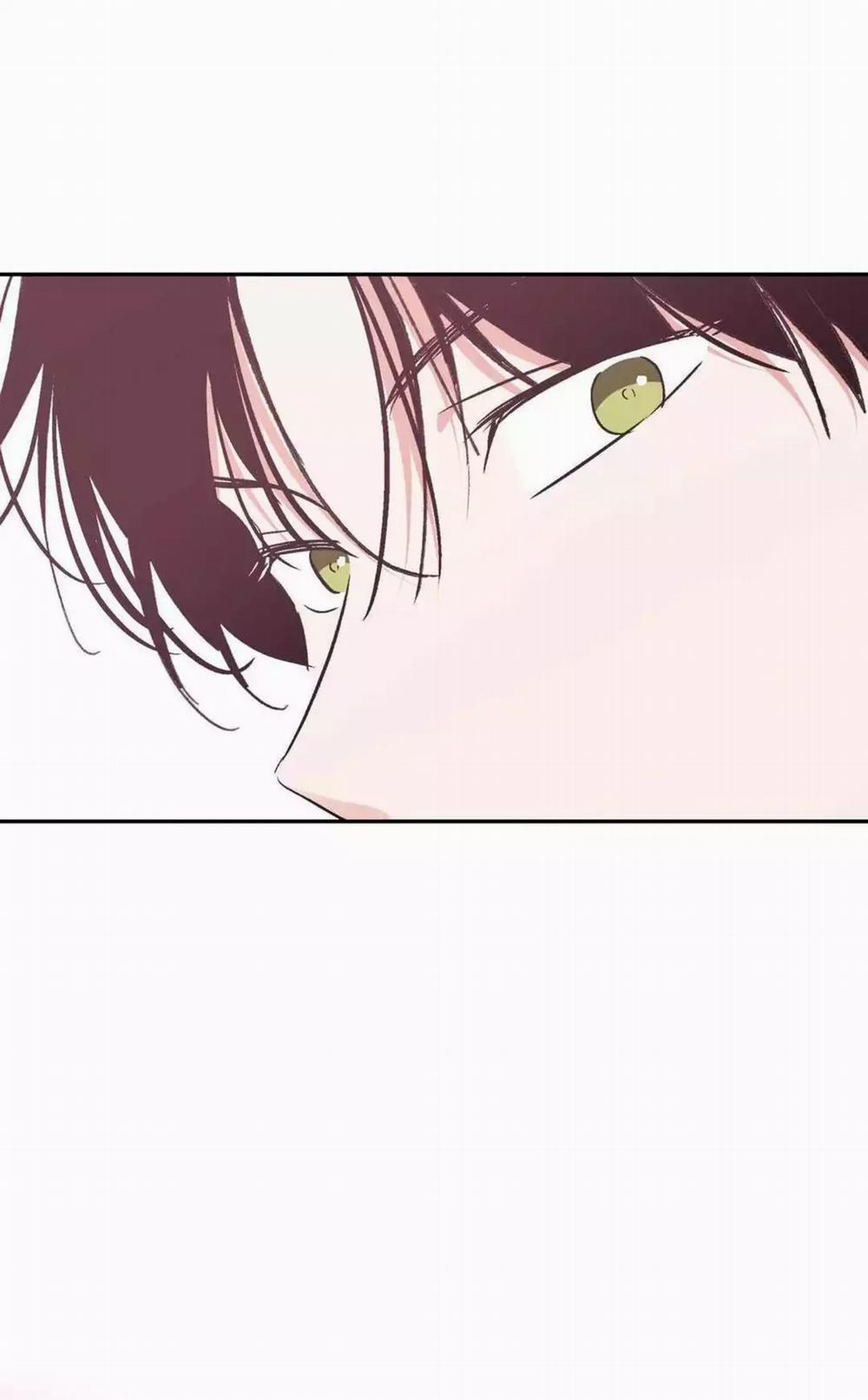 Chiếc Lá Lay Động Theo Giai Điệu 15 trang 43