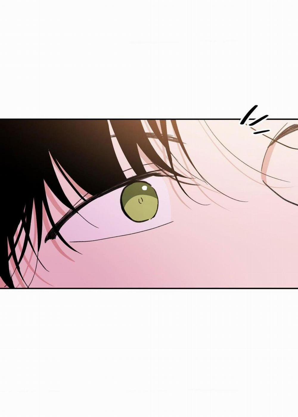 Chiếc Lá Lay Động Theo Giai Điệu 2 trang 12