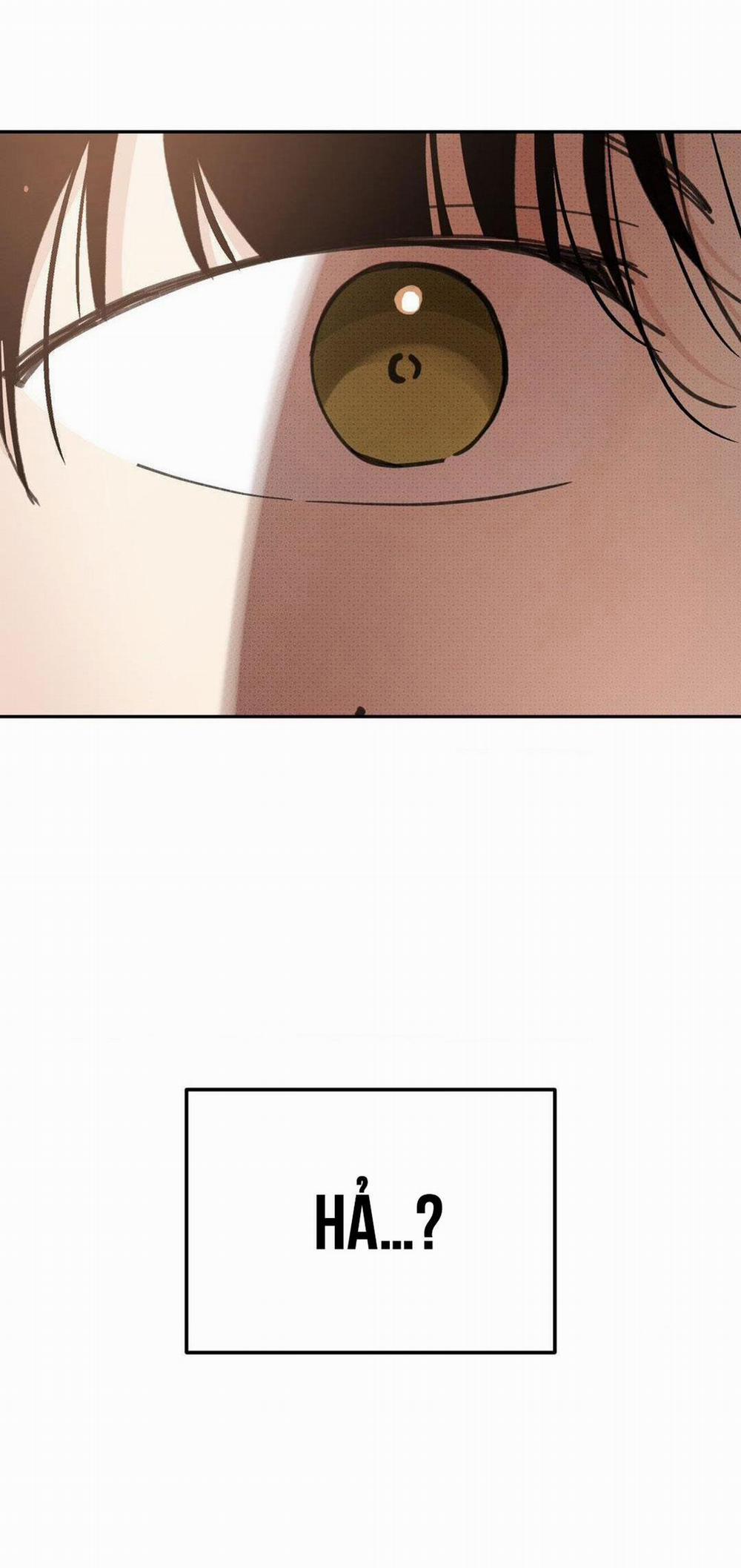 Chiếc Lá Lay Động Theo Giai Điệu 3 trang 27