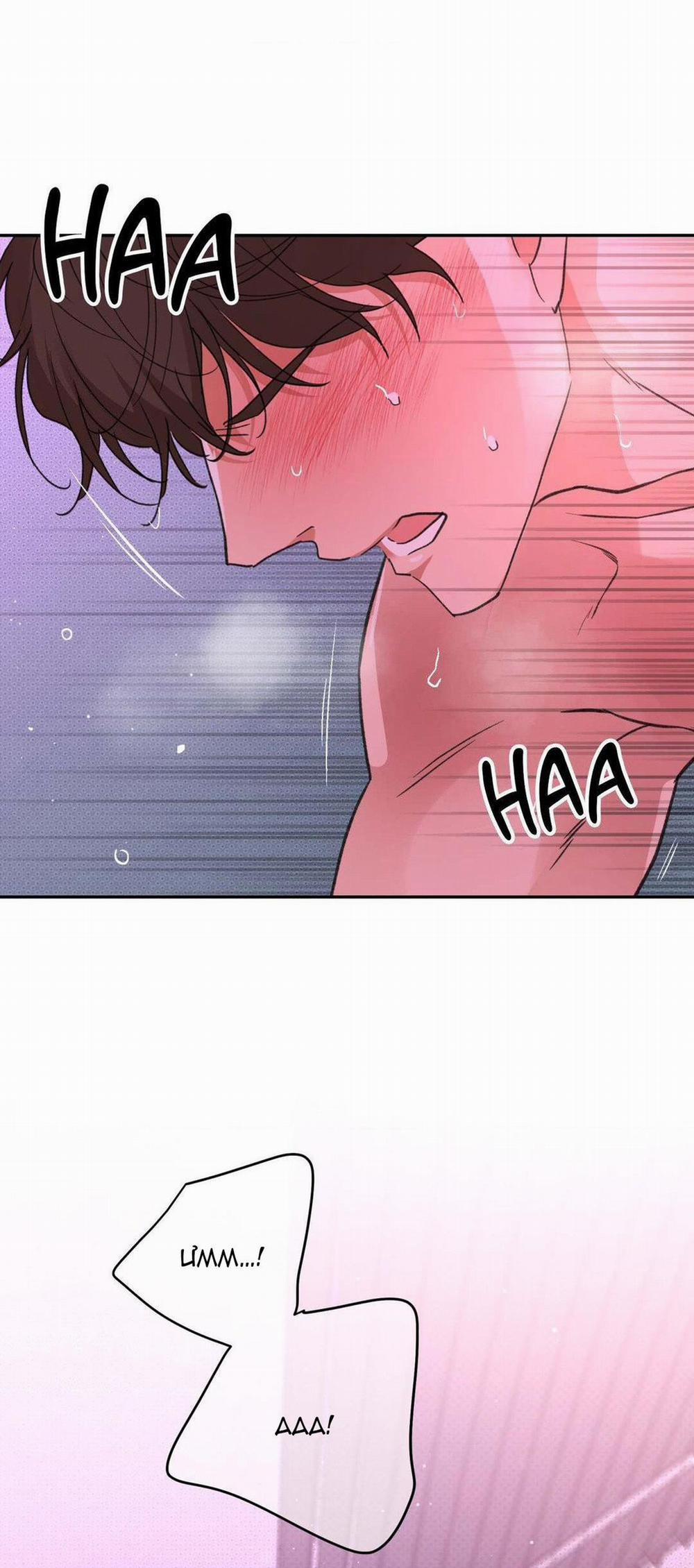 Chiếc Lá Lay Động Theo Giai Điệu 7 trang 1