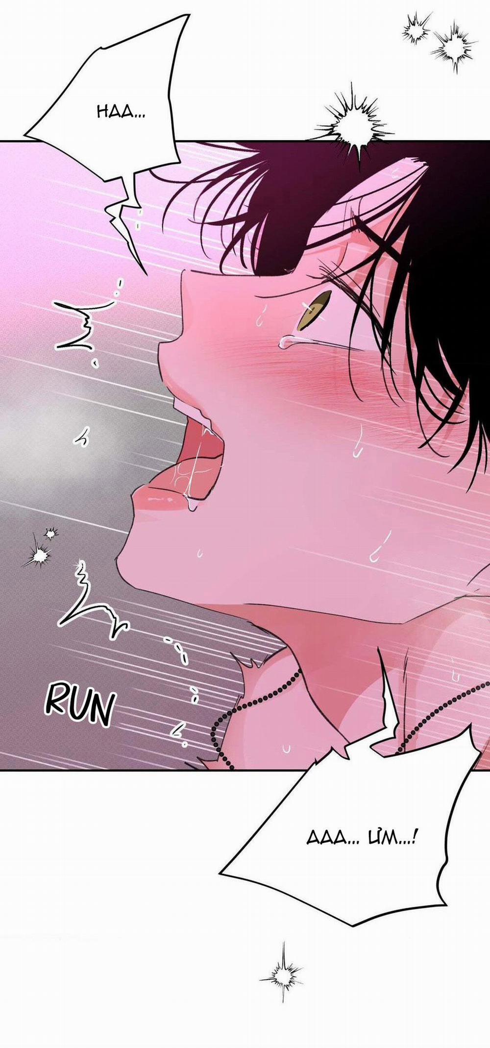 Chiếc Lá Lay Động Theo Giai Điệu 7 trang 9