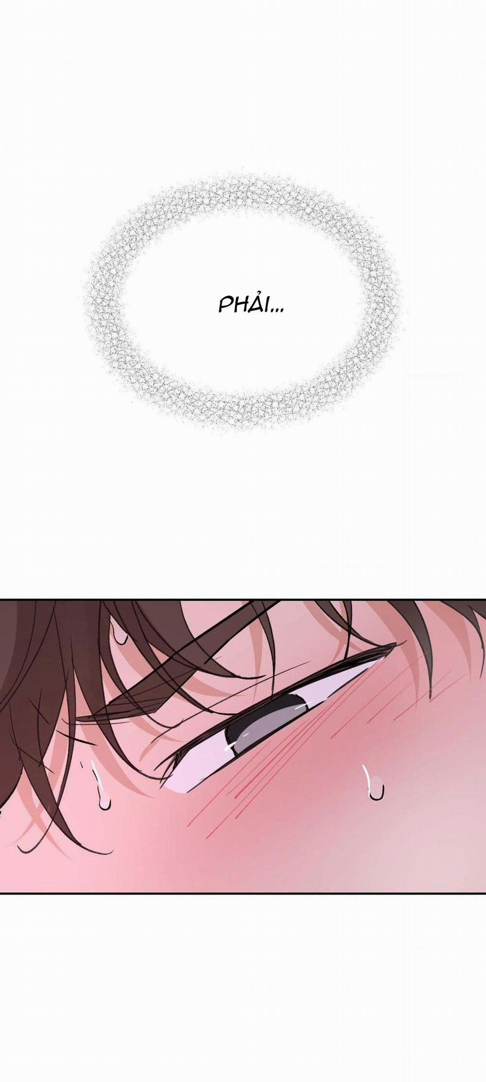 Chiếc Lá Lay Động Theo Giai Điệu 8 trang 41