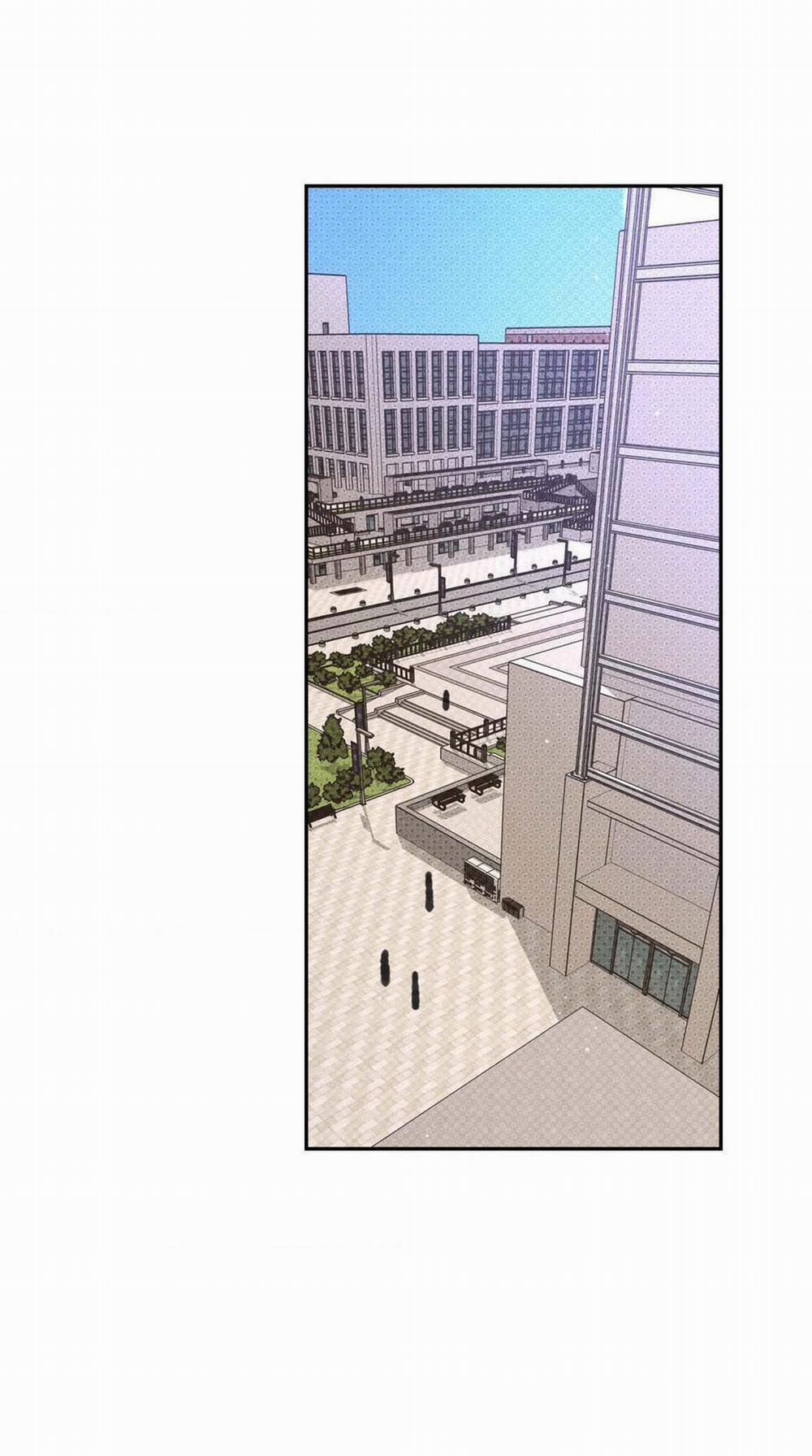 Chiếc Lá Lay Động Theo Giai Điệu 8 trang 66