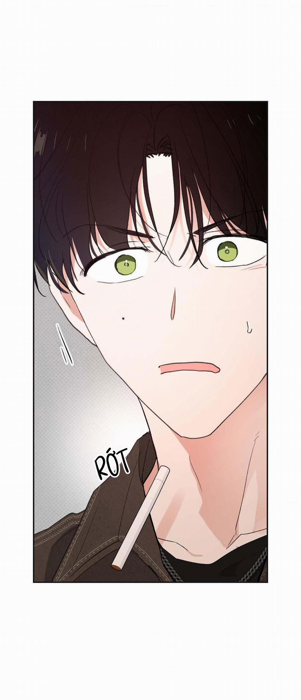 Chiếc Lá Lay Động Theo Giai Điệu 9 trang 1