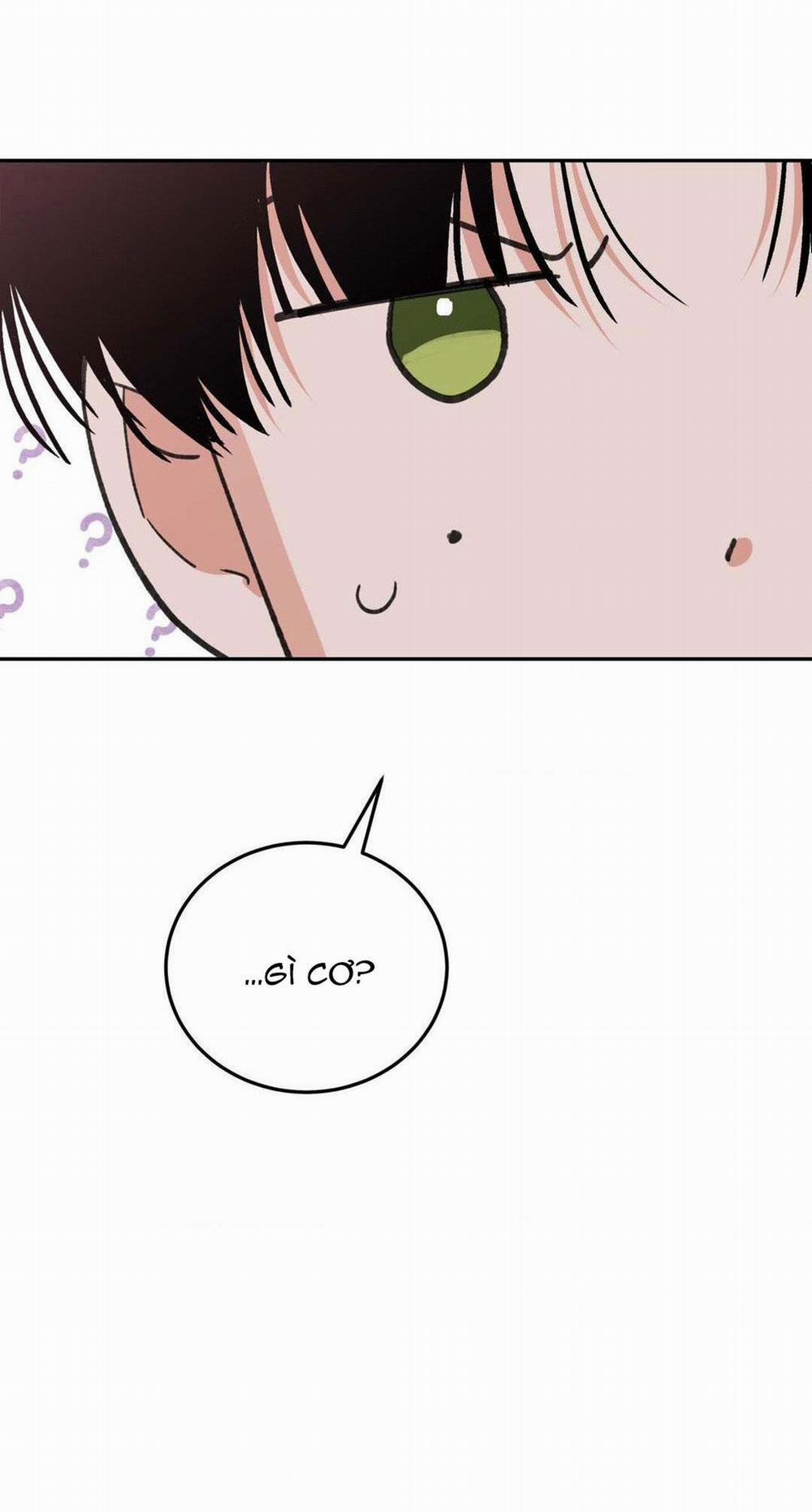 Chiếc Lá Lay Động Theo Giai Điệu 9 trang 7