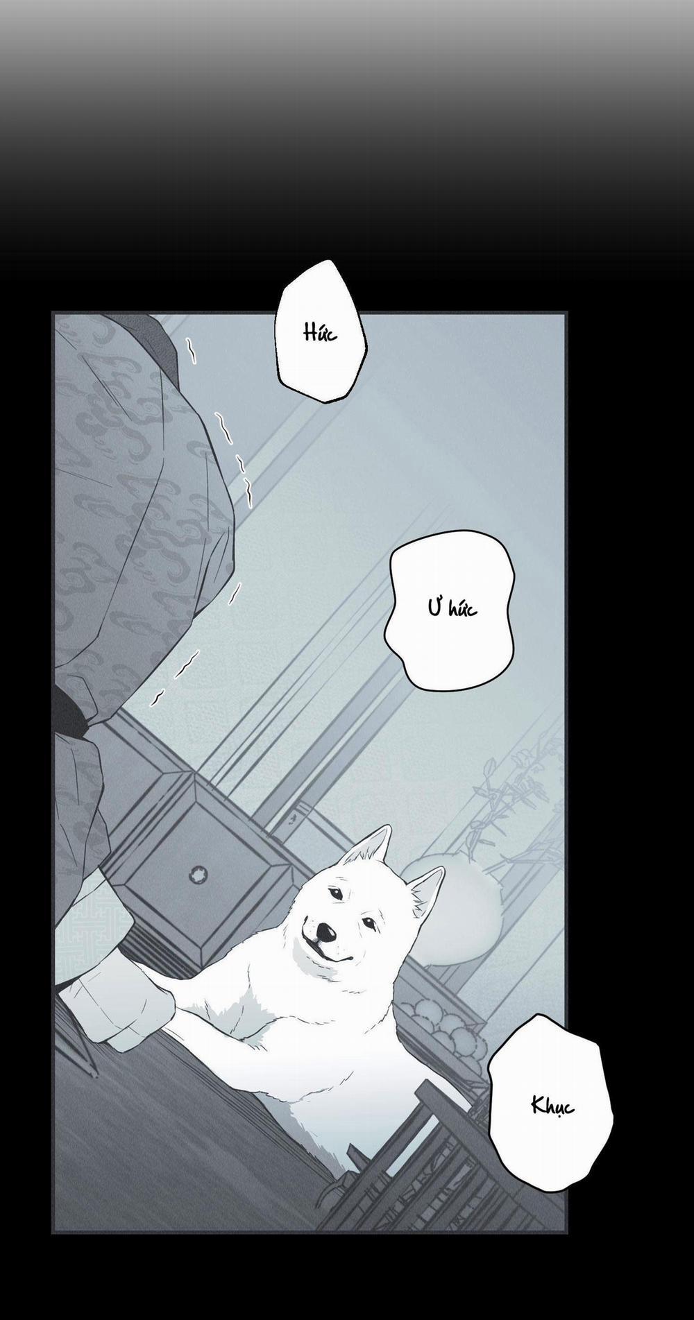 CHIẾC VÒNG CỦA RẮN 11 trang 47