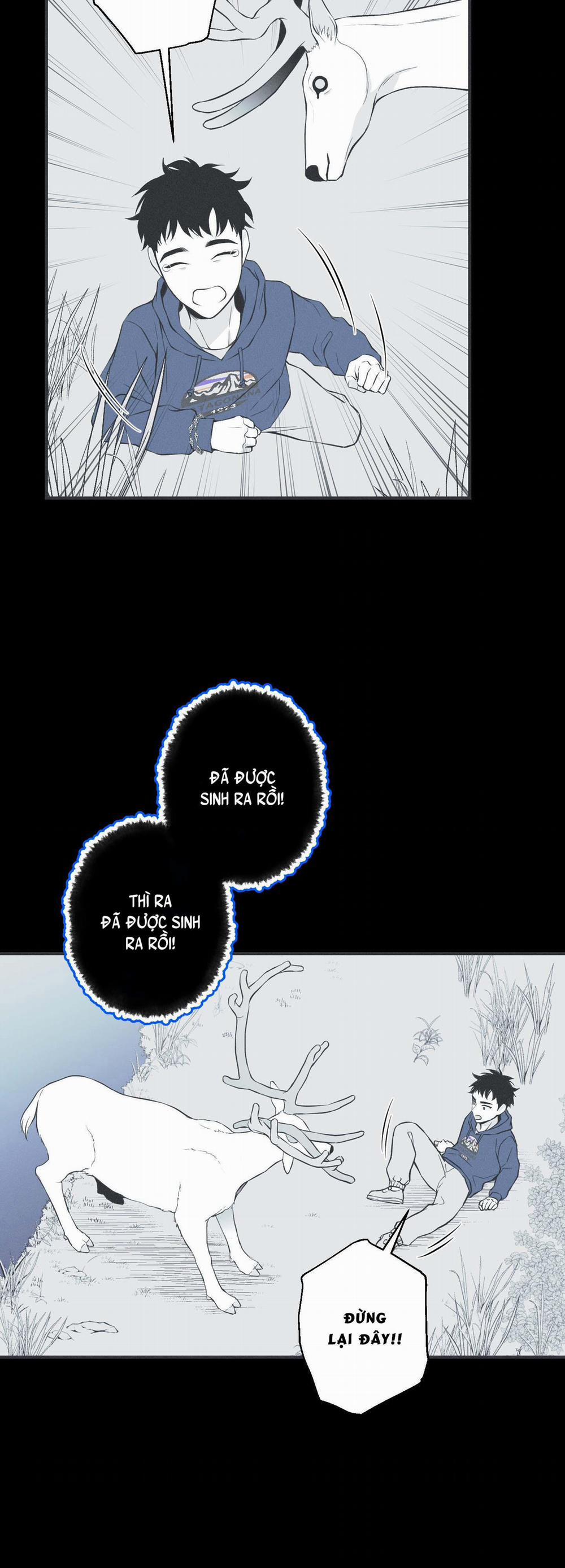 CHIẾC VÒNG CỦA RẮN 6 trang 78