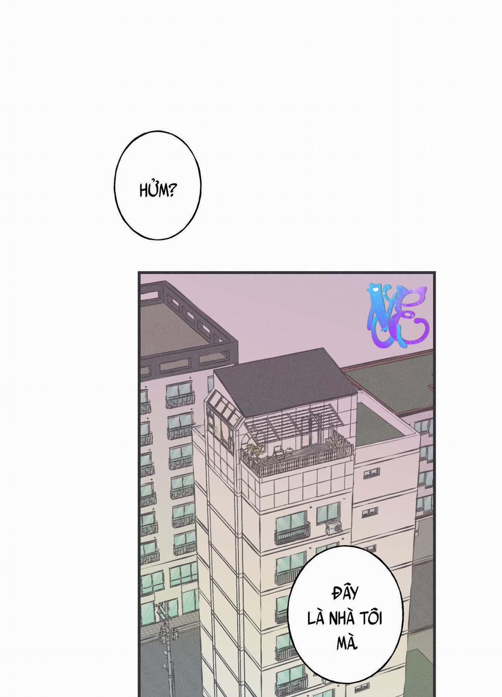 CHIẾC VÒNG CỦA RẮN 8 trang 20