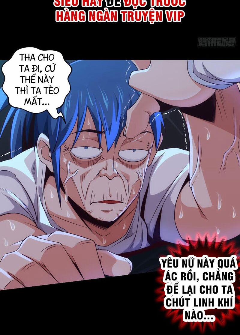 Chiếm Cái Đỉnh Núi Làm Đại Vương 71 trang 12