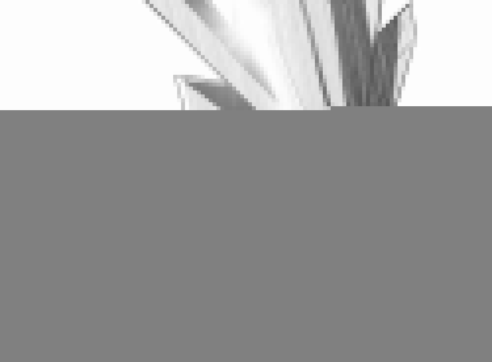 Chiến Đỉnh 203 trang 1