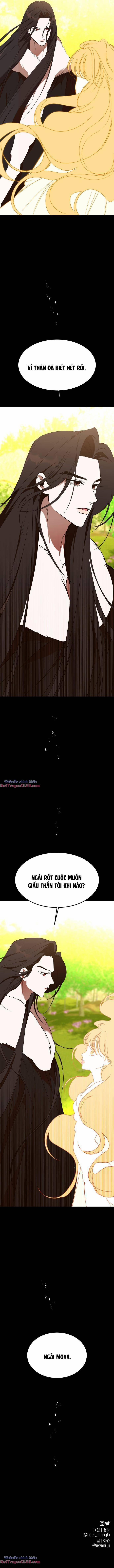 Chiến Lược Săn Hổ Của Nữ Thần 54 trang 6