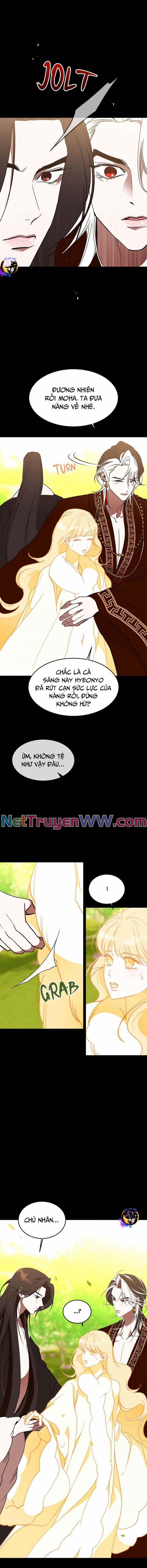 Chiến Lược Săn Hổ Của Nữ Thần 56 trang 11