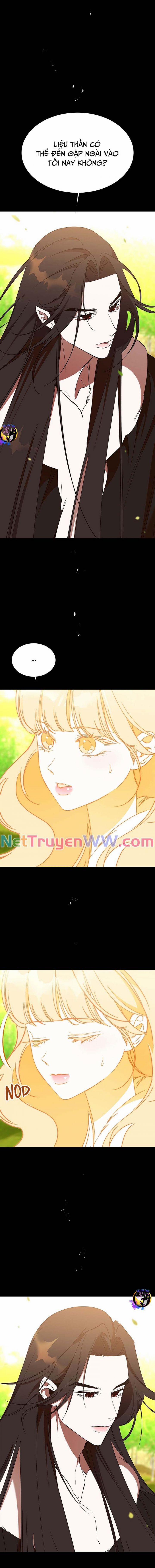 Chiến Lược Săn Hổ Của Nữ Thần 56 trang 12