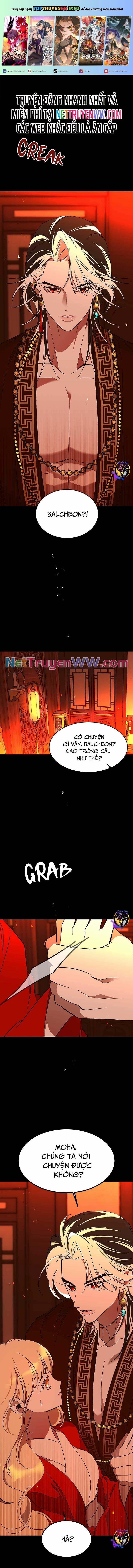 Chiến Lược Săn Hổ Của Nữ Thần 57 trang 0