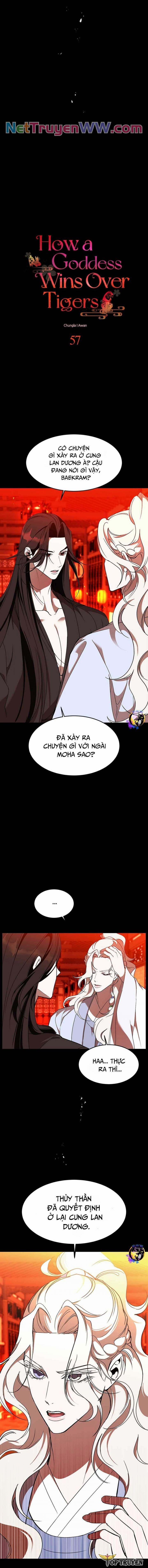 Chiến Lược Săn Hổ Của Nữ Thần 57 trang 1